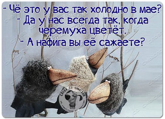 d98d97a4473fbaa65d9570b1bdcba987