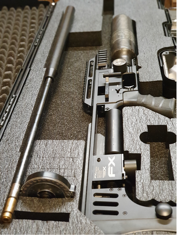 GunPic1