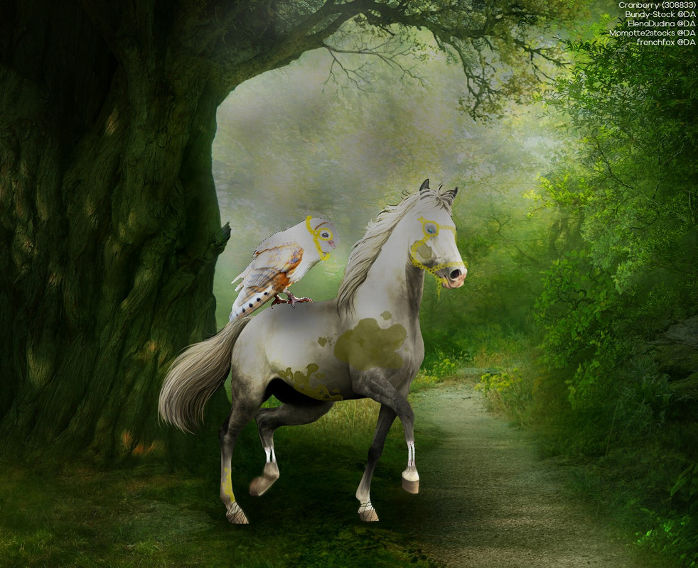 Auction (NOT BRIGHt)