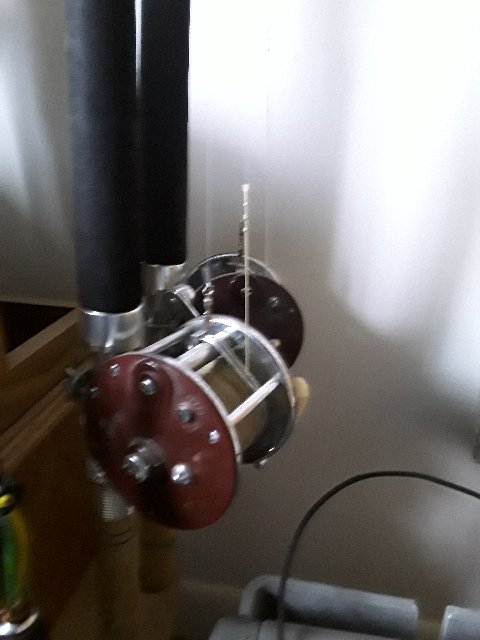 15883409198861443165259244567461