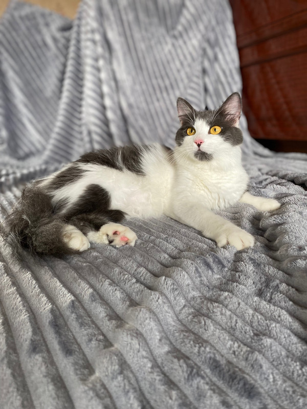 image-26-06-23-07-25-8