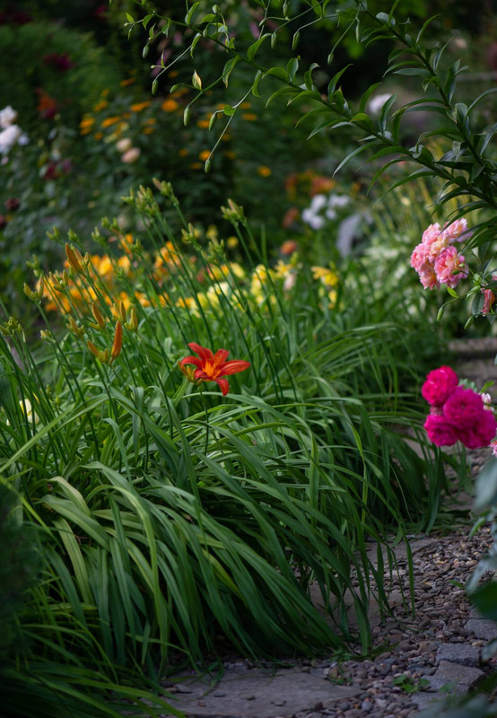 IMG-6632812af668f59395c96083594f1ae1-V