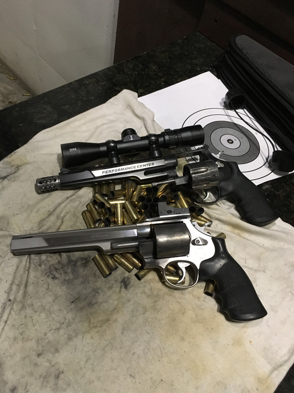 Master Hunter and Magnum Hunter