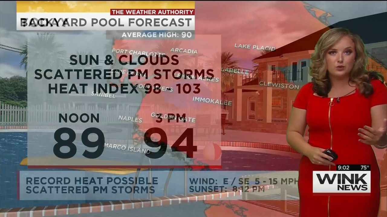 23 May - 14.00.00 - WINK News @ 9 00AM..ts_snapshot_00.07.07_[2020.05.23_17.12.04]