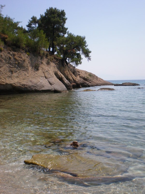Slika