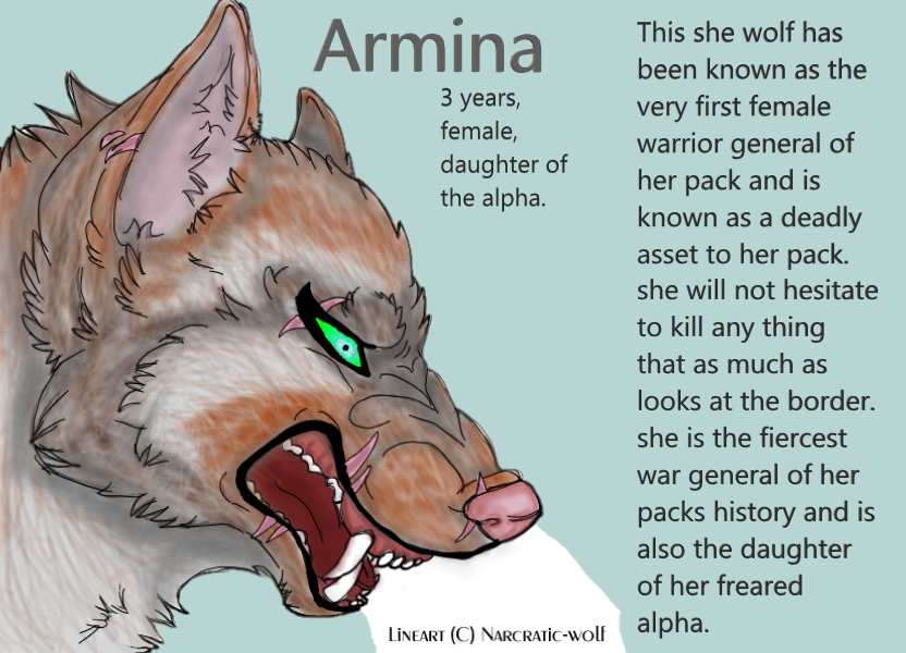 Armina.png