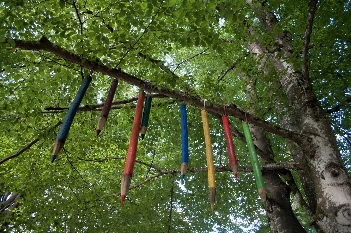 multi-colour-pencils.jpg