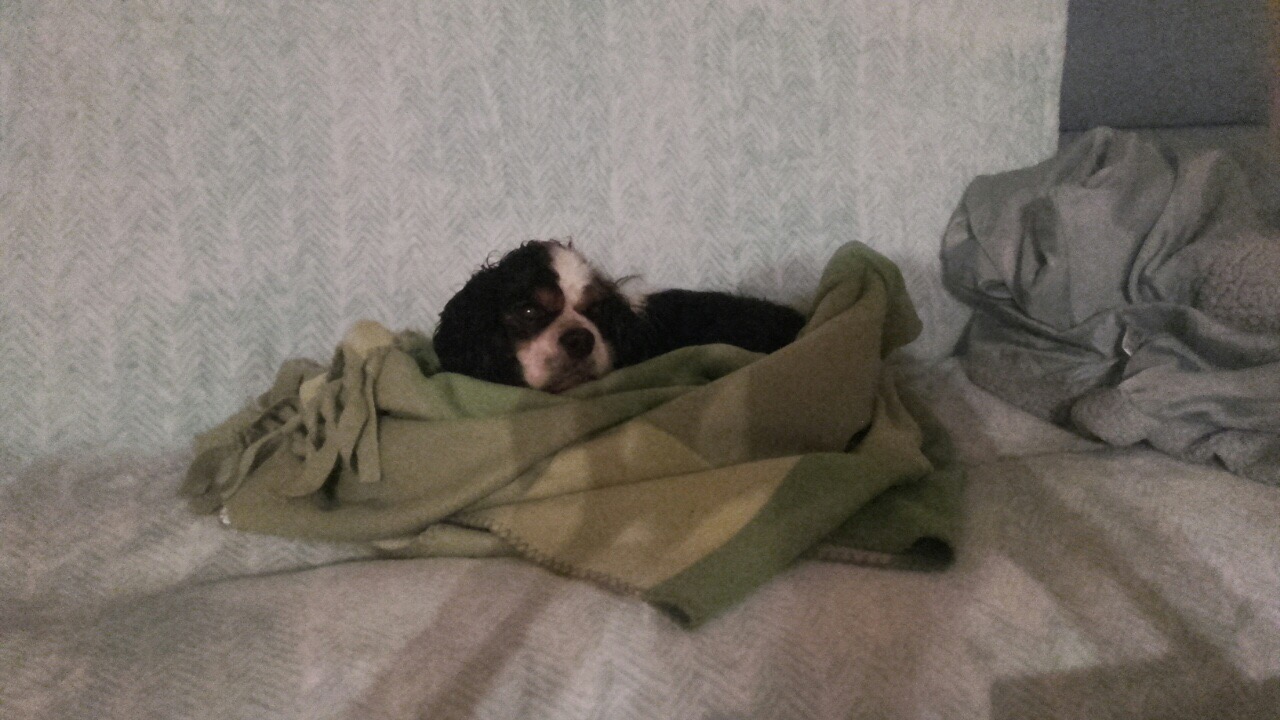 07EE4C39-C761-4930-B82B-957151232C1F