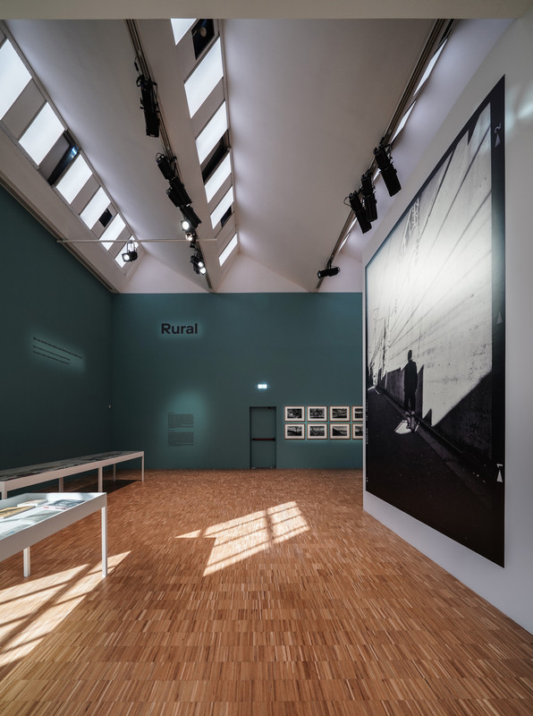 25e DSC05877_DxOVP Persp FL (FCR - Luci -35 - Chiar  50)