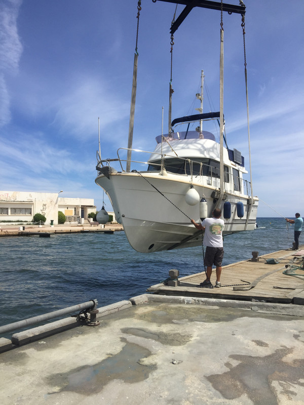 7423D2BD-1CBB-41CA-BD74-A731FB64D5FA