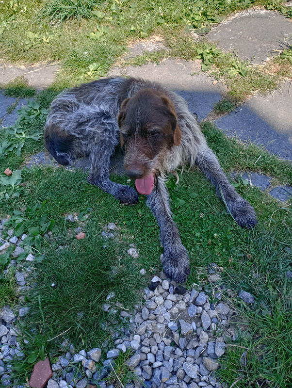 IMG_20250621_151814_HDR