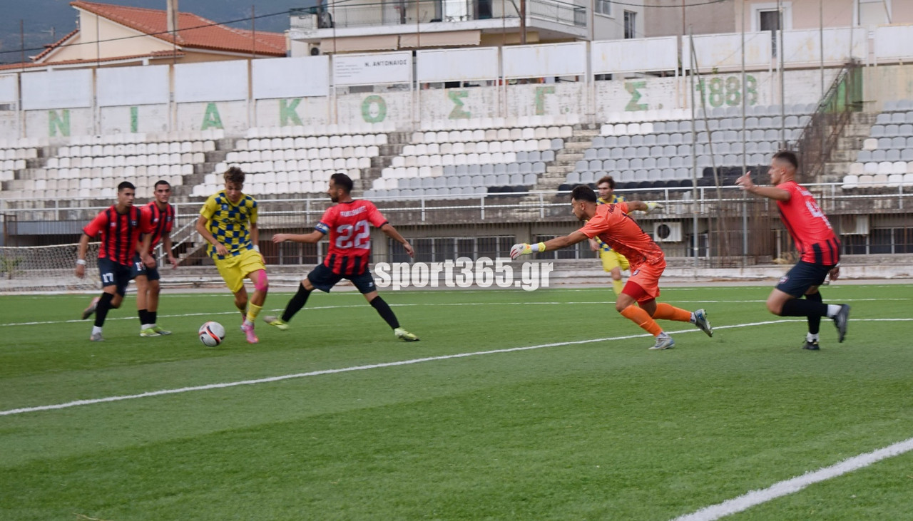 sp-panthou-panax-2-21-20250907