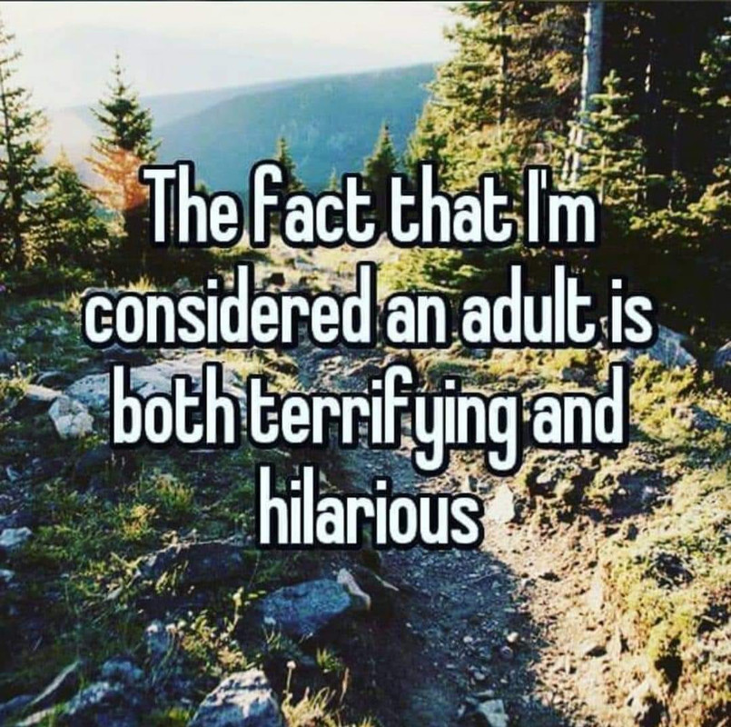 adult.jpg