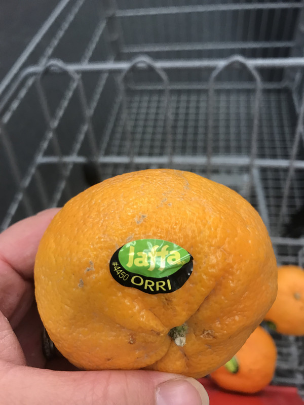 02210839-38F0-4F20-915C-167457FCA328