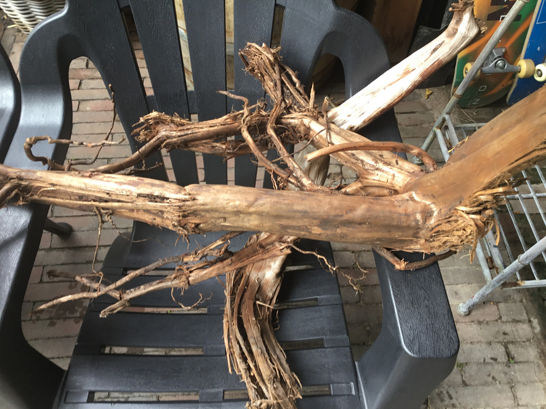 AF2B2C31-B917-4314-BEA6-C773205BE04F