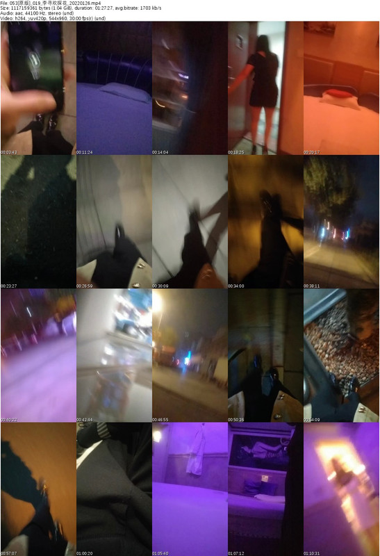 053[原版]_019_李寻欢探花_20220126_s