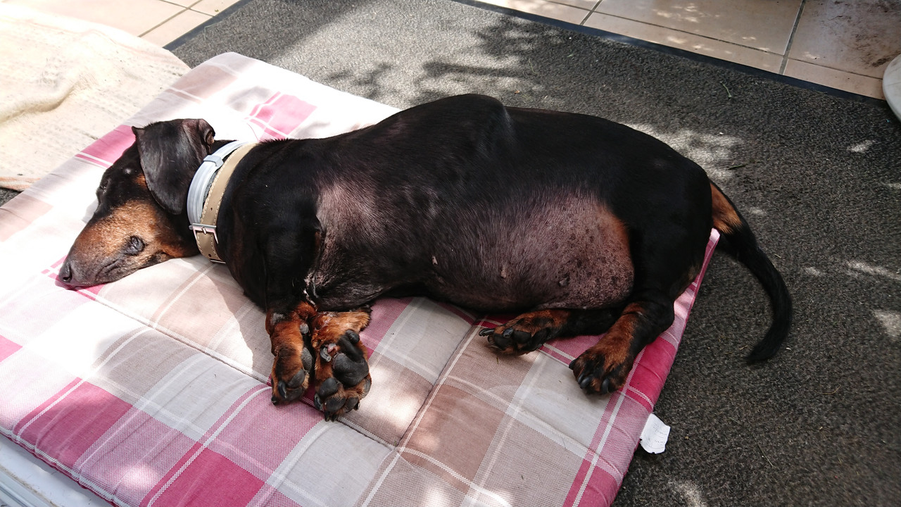 [Image: DSC-0451.jpg]