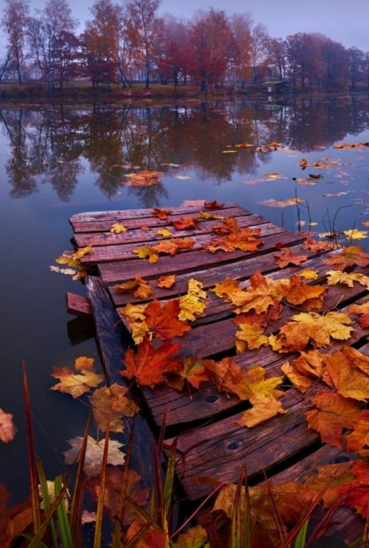 Screenshot_20231130_234410_Pinterest