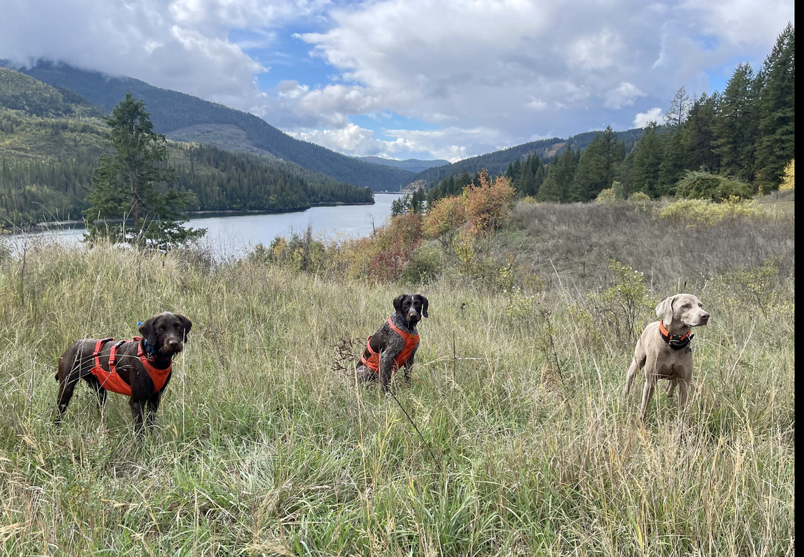 3B2F1D9B-4AD0-4E72-AAEF-15CA16F454EF