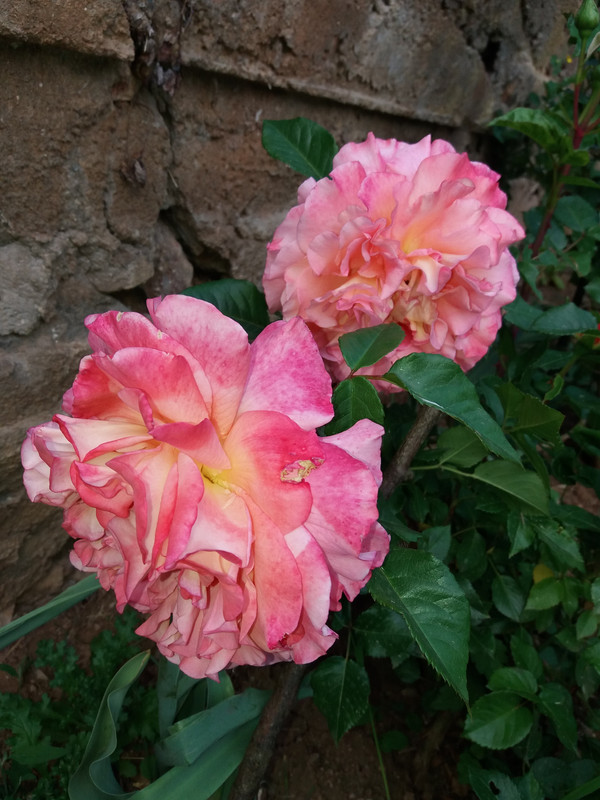 20190601_192059