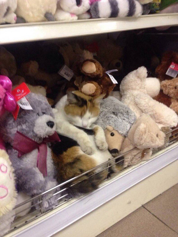 tumblr_okjfk4LVsP1qzhjh2o1_1280