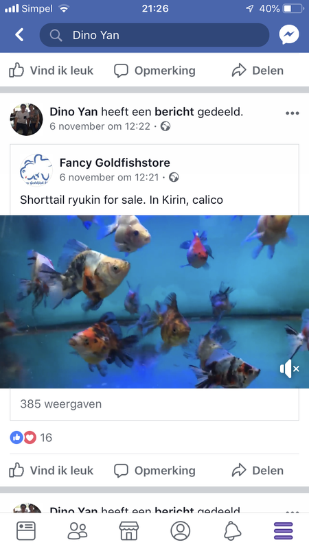 1A7F3FC3-D5EC-483E-907A-20C90F2D1B9E