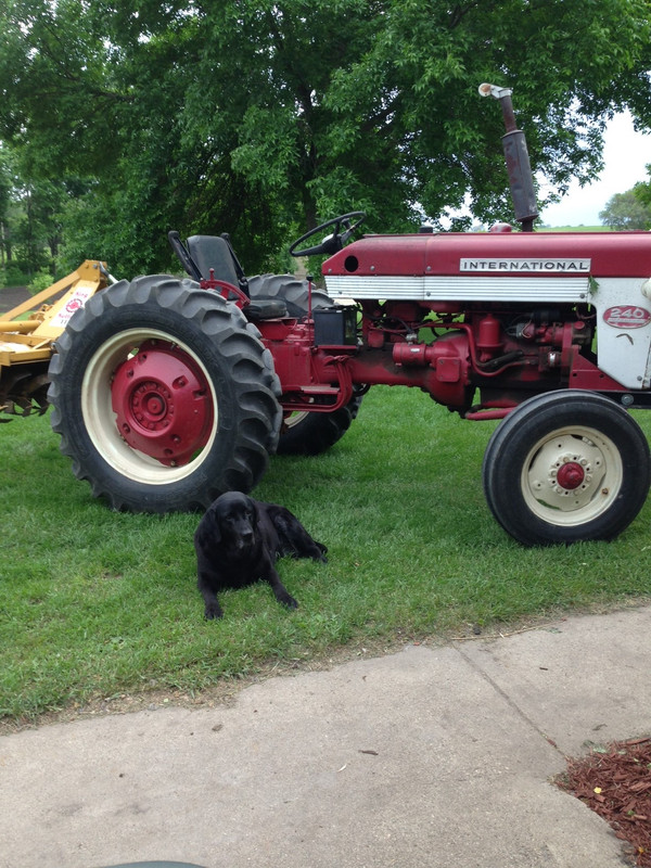 Rooster Tractor