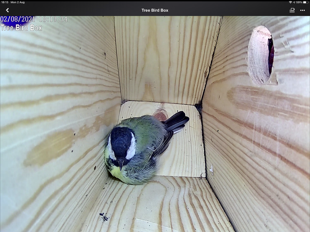 4BEB2E5C-778D-4417-9CC0-35789197114A