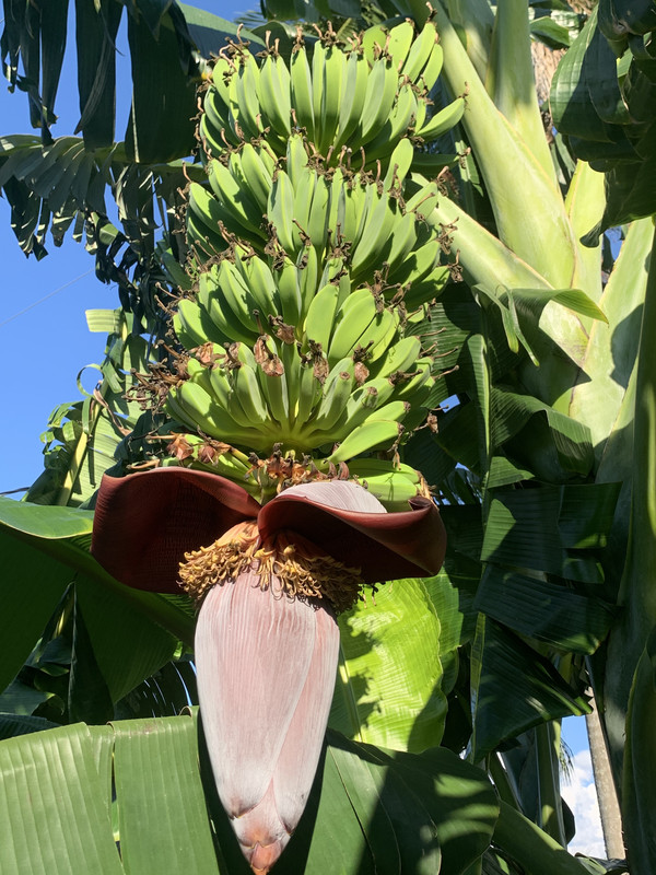 2EC9B06B-4D7F-4569-9FE5-42B6055C02CE