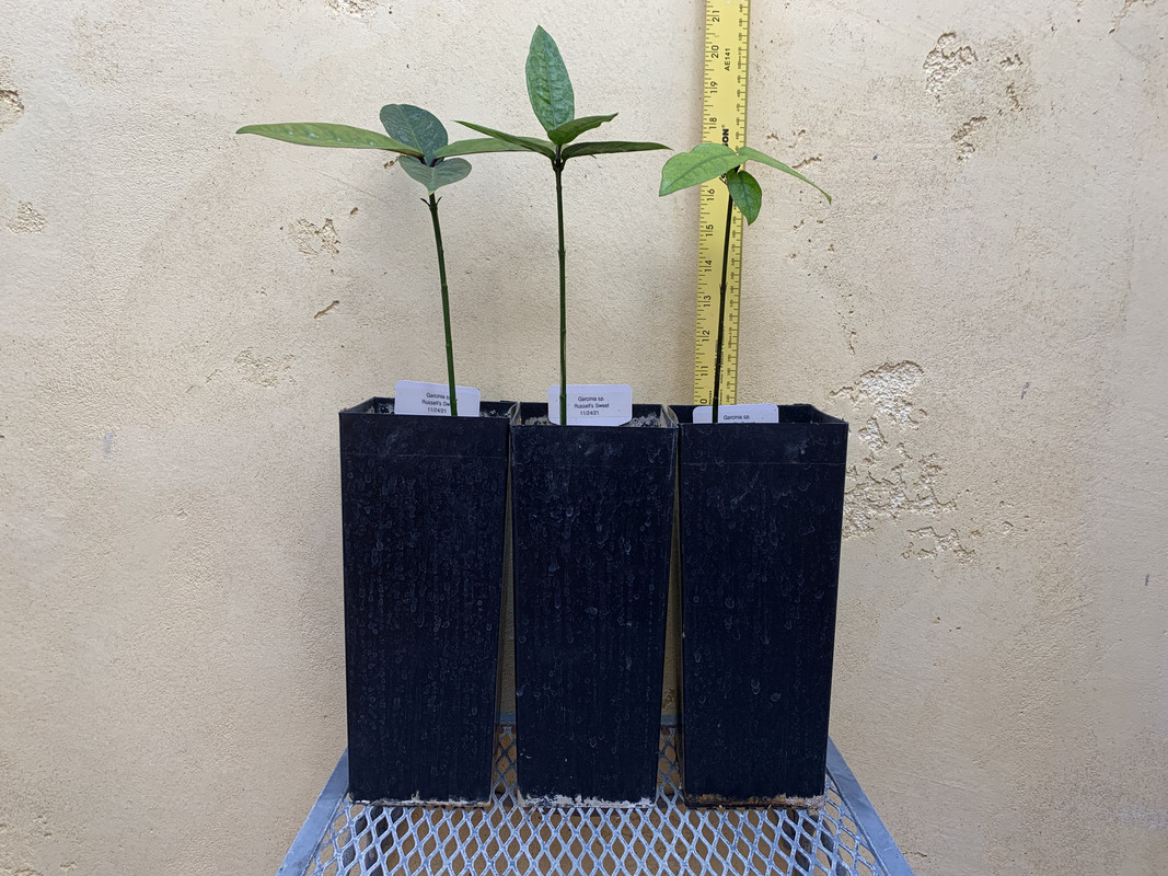 93259263-945E-47B8-94EC-8AD3177FC440