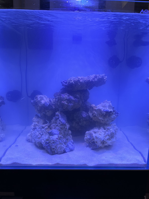 C7396580-2281-471D-87F1-627408C25C6A