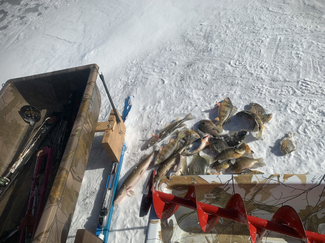 4E0944B3-96ED-409A-BEB1-492B2D077236