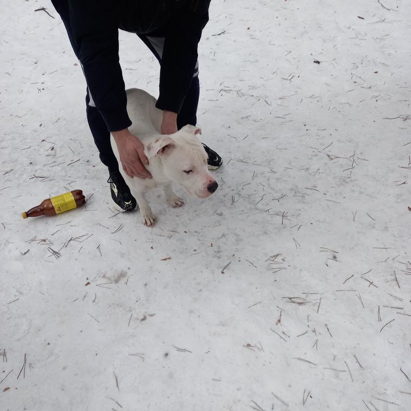 945E6807-FEA6-41EC-8CF1-5CF5F55186B8