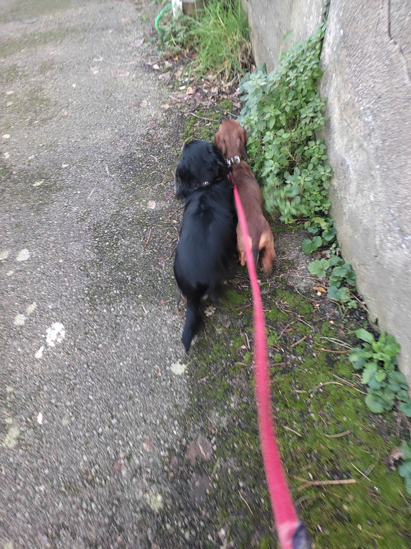 [Image: IMG-20231230-170014.jpg]