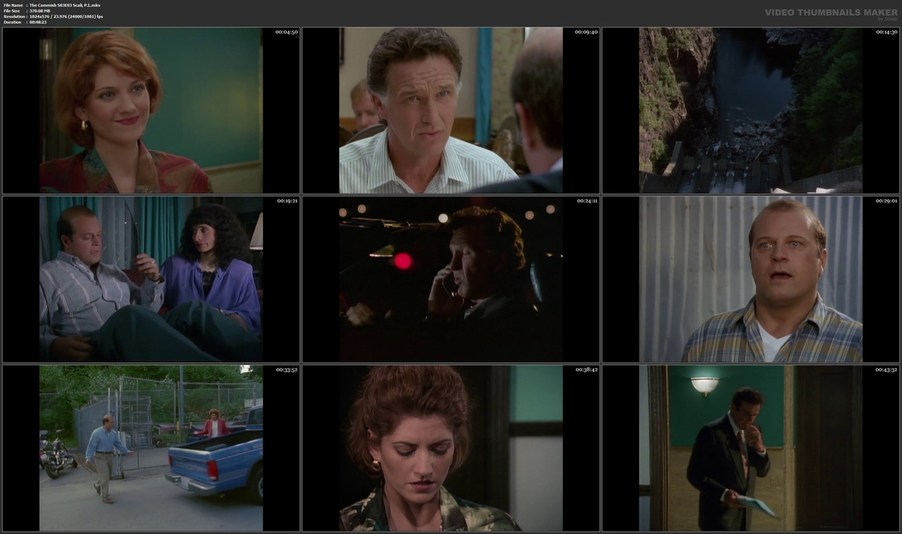 The Commish S03E03 Scali, P.I..mkv