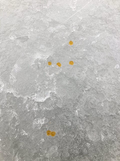 E4D5AAEB-D271-4CF5-BD76-F6736C29DFC8