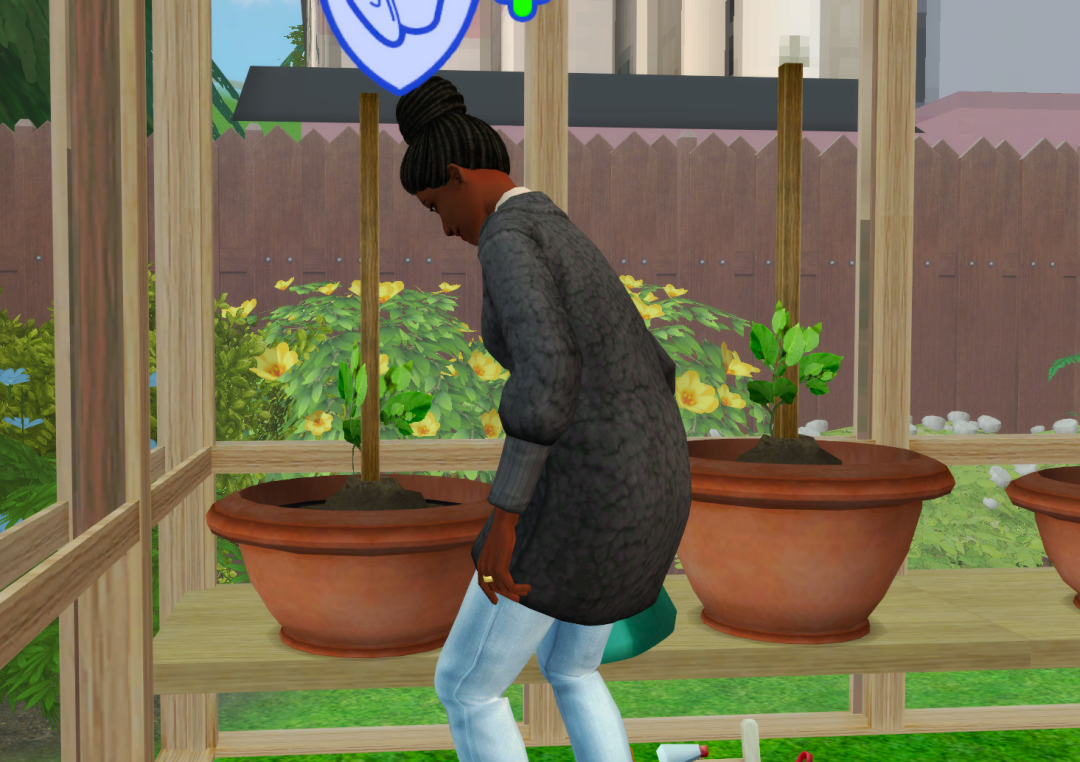 Sims2-EP9-RPC-2023-02-10-18-34-06-65