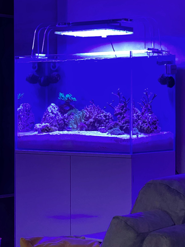 69E17FF7-B2CC-45CF-A333-11784E58EFE4