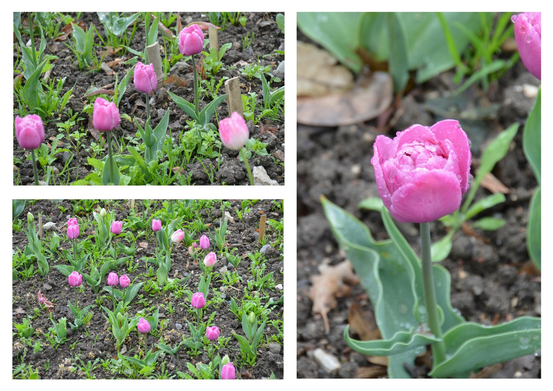 Новый коллаж.jpg 11