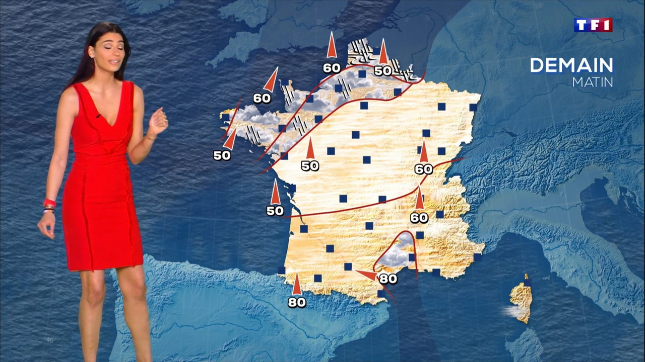 2021-02-14_20_00_TF1_Le-20h.mp4_snapshot_00.01.49.767