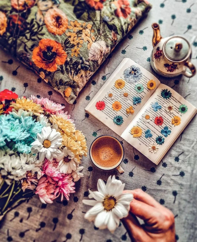 Screenshot_20240112_233323_Instagram