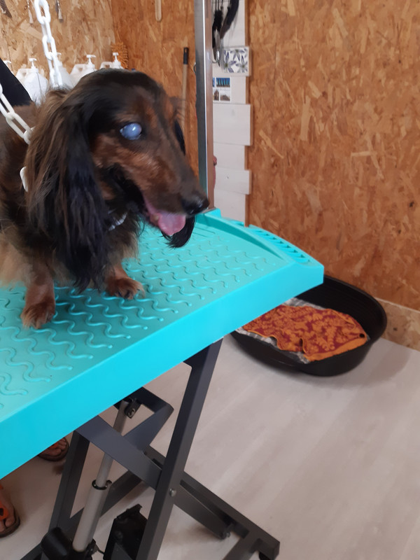 [Image: 20210618-102909.jpg]