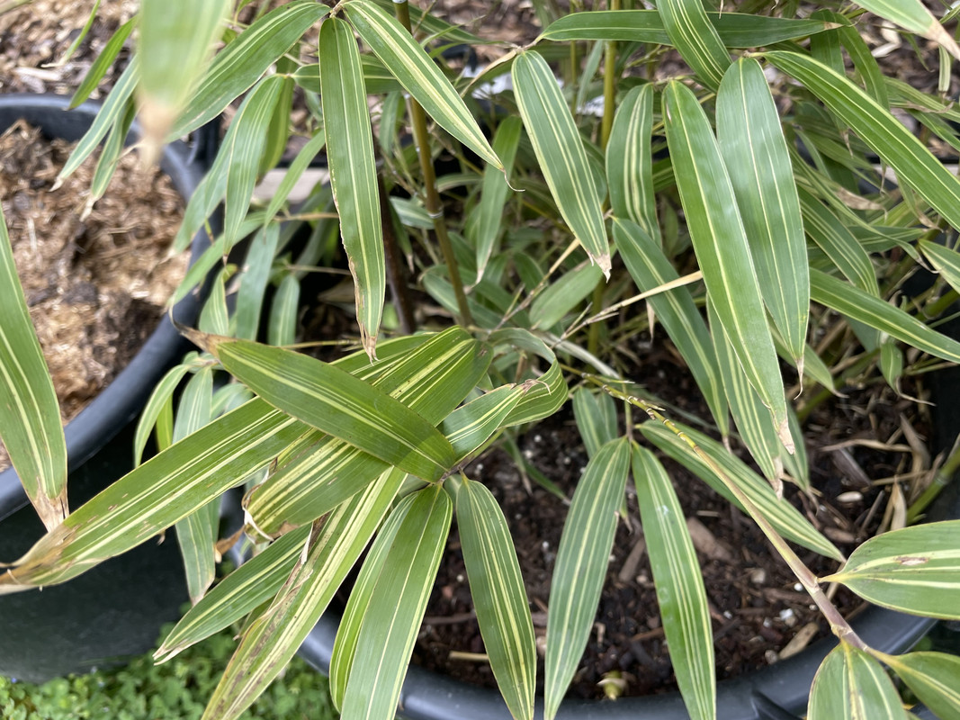 F84DF1F4-8D94-4AA3-B2F6-2BB87D99BA86