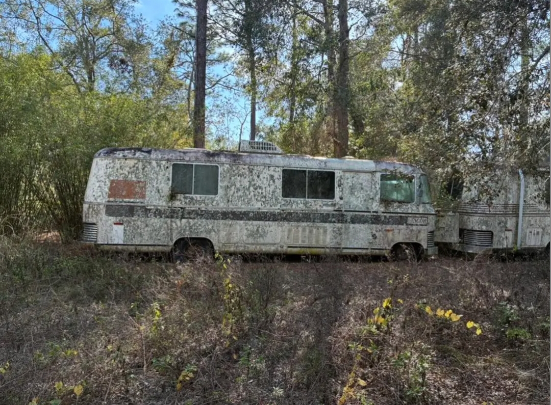 Screenshot 20260221 093804 Chrome