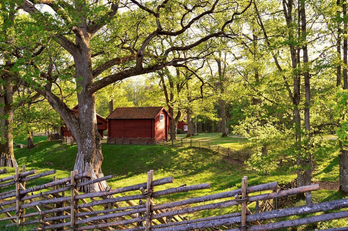 greenwoodsbrownhut.jpg