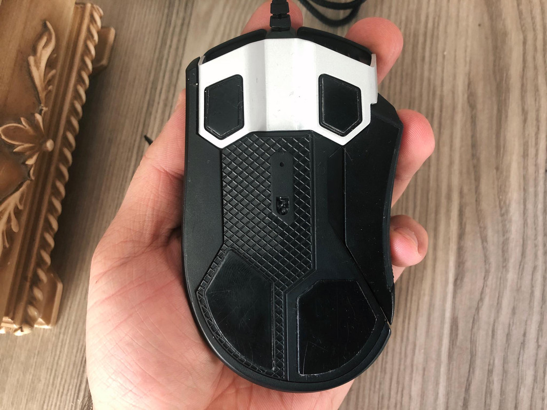 82868253-468841740460851-368983966851530