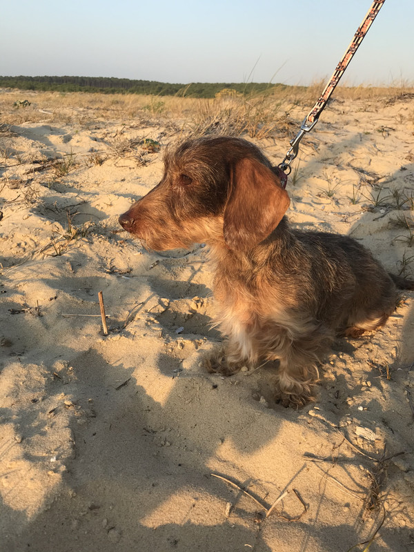 [Image: FB8548-DE-831-F-4570-A0-AC-246011-BE21-EB.jpg]