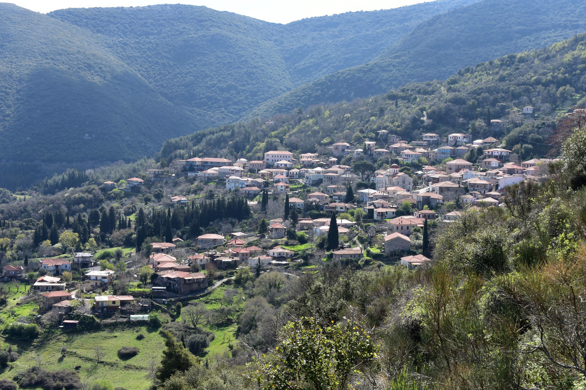 Ανδρίτσαινα