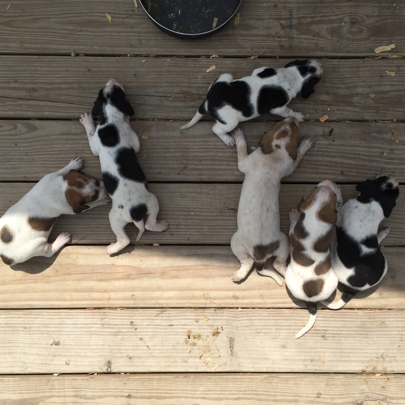 C6978980-648C-426A-8BB2-D4D0DA677280