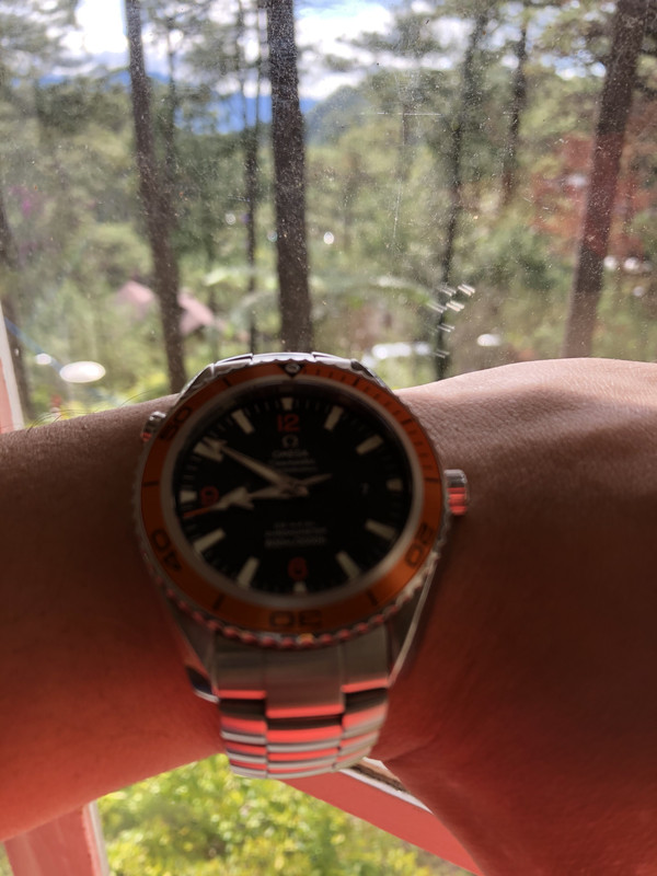 3B87E2E5-D2AE-4595-AC37-6E5C721F2E22